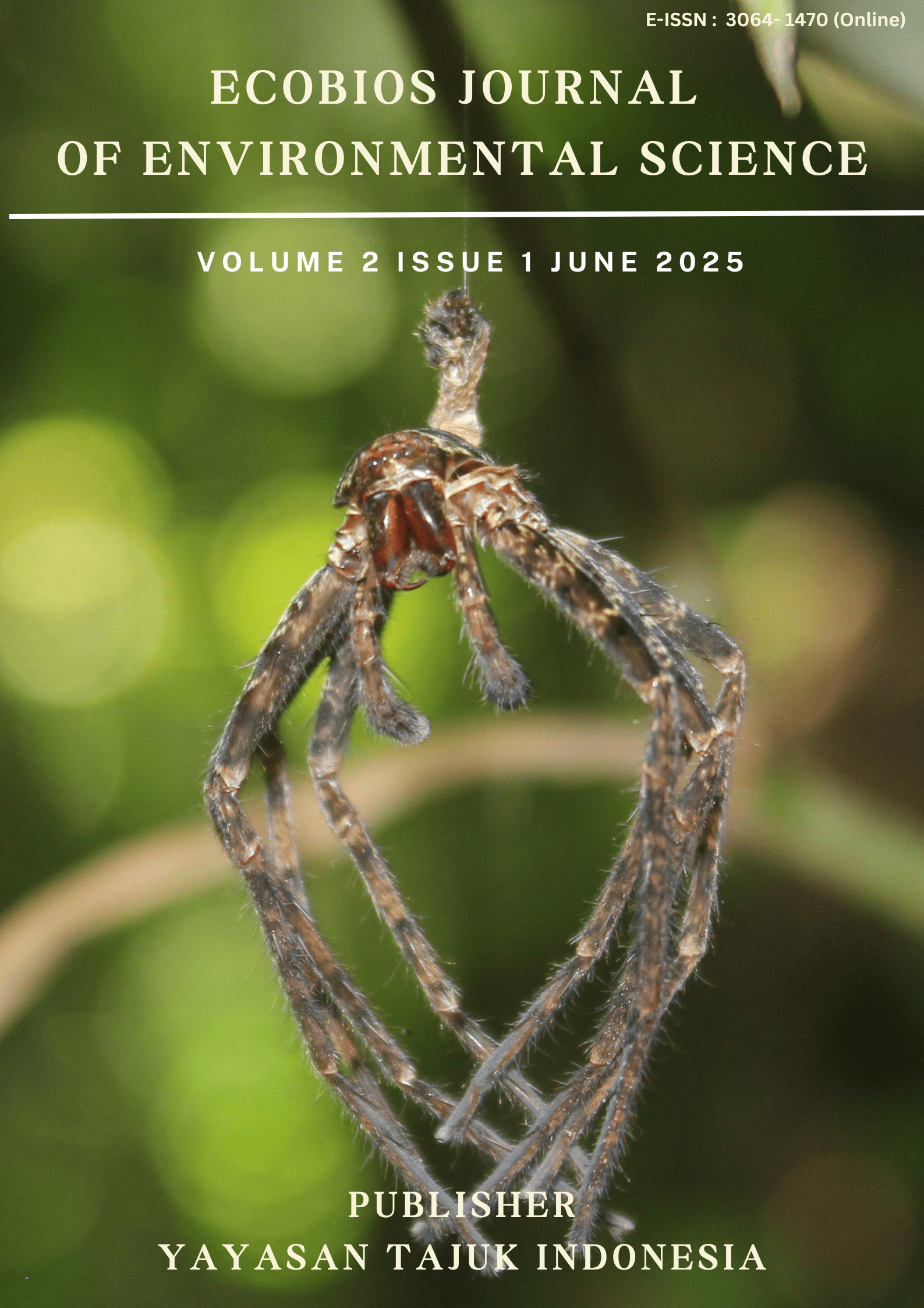 View Vol. 2 No. 1 (2025): June 2025